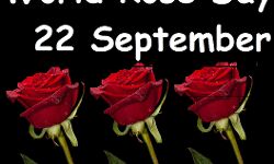 рдХреНрдпрд╛ рд╣реИ рд╡рд░реНрд▓реНрдб рд░реЛрдЬ рдбреЗ,рдФрд░ рдХреНрдпреВ рдордирд╛рдпрд╛ рдЬрд╛рддрд╛ рд╣реИ рдпрд╣ ? рдХреНрдпрд╛ рд╣реИ рд╡рд░реНрд▓реНрдб рд░реЛрдЬ рдбреЗ,рдФрд░ рдХреНрдпреВ рдордирд╛рдпрд╛ рдЬрд╛рддрд╛ рд╣реИ рдпрд╣ ?