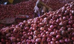 भारी बारिश के कारण प्याज का दाम बढ़ा, हुआ ₹80 किलो