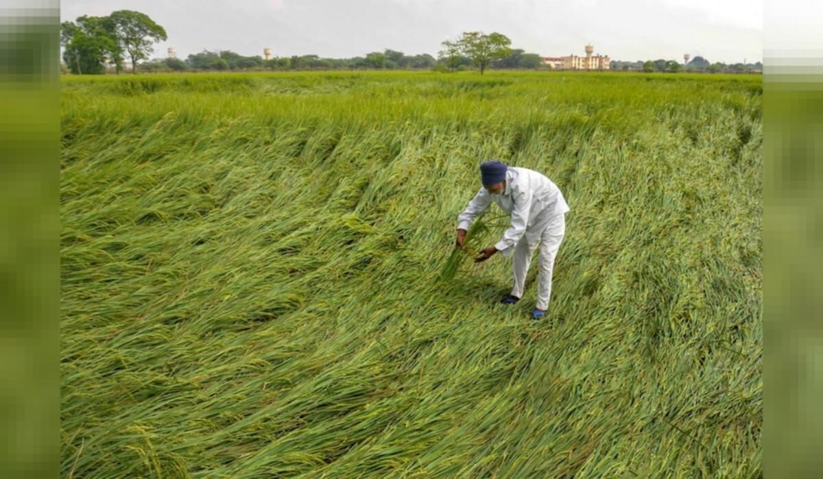 किसानों की समस्याओं को पिछली सरकारे नजरअंदाज करती रही* किसानों की समस्याओं को पिछली सरकारे नजरअंदाज करती रही*