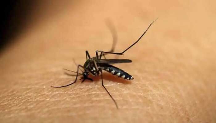 यूपी में कोरोना के साथ डेंगू बना मुसीबत, शुरू होगा जागरूकता अभियान